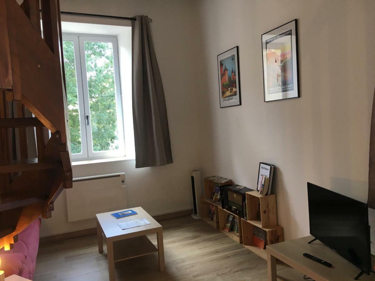 Appartement Le Loft Du Chateau Du Roi *